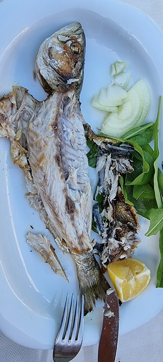 Ağva Liman Restaurant-9